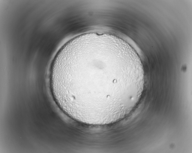 X0000103171099200809192111