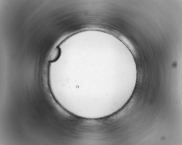 X0000103171100200809192111