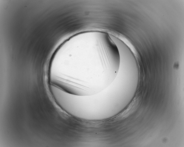 X0000103171101200809192111