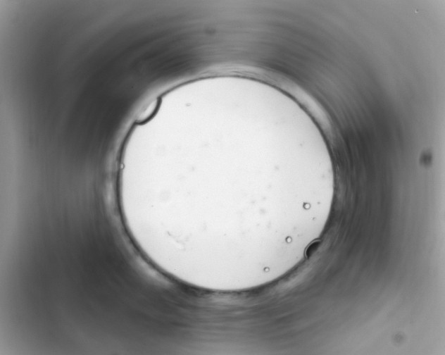 X0000103171102200809192111