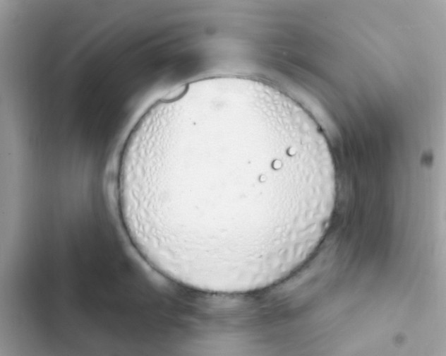 X0000103171103200809192111