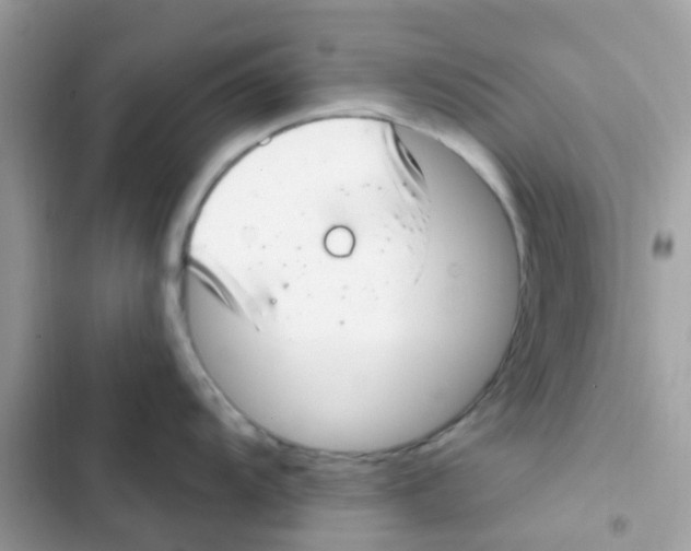 X0000103171104200809192111