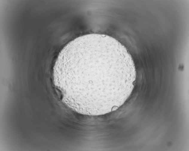 X0000103171105200809192110