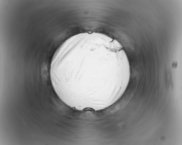 X0000103171106200809192110