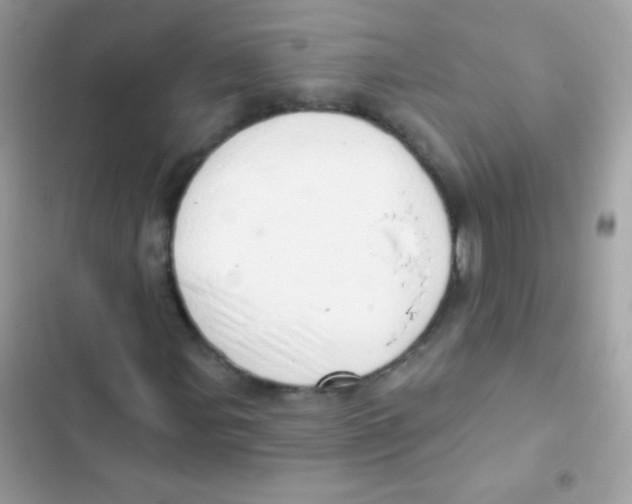 X0000103171107200809192110