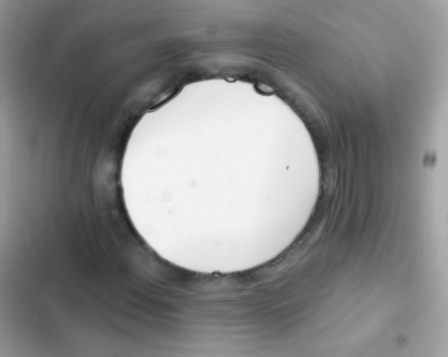 X0000103171108200809192110