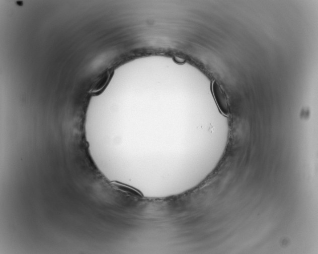 X0000103171110200809192110