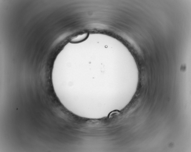 X0000103171112200809192110