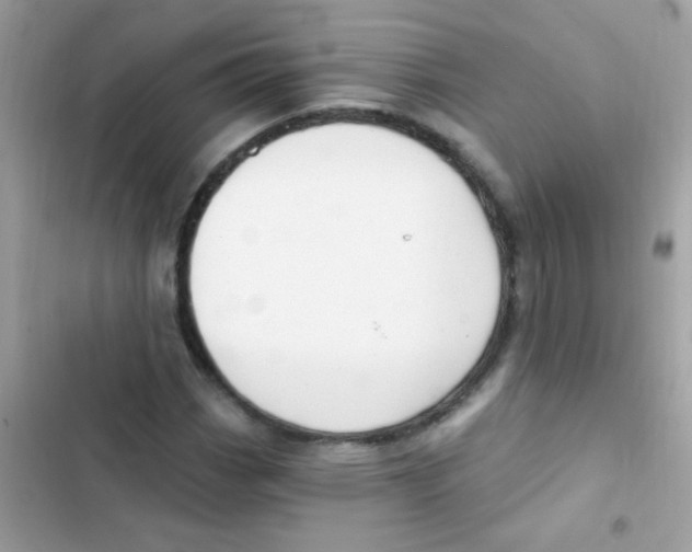 X0000103171113200809192110