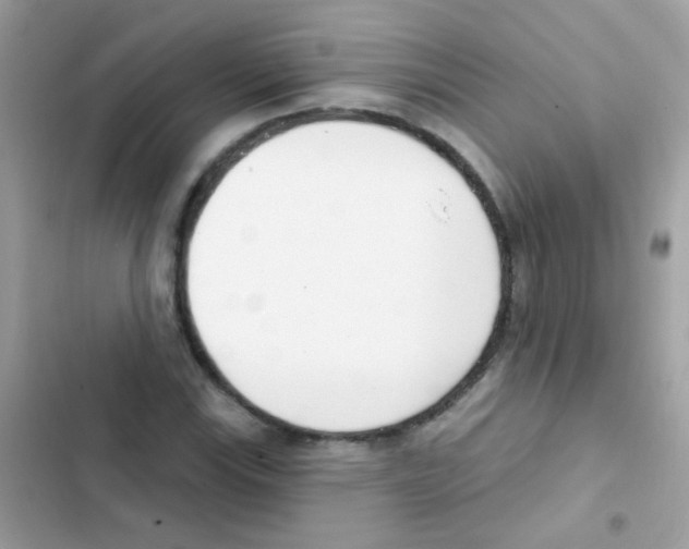 X0000103171115200809192110