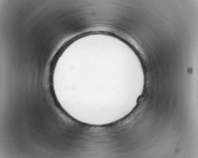 X0000103171116200809192110