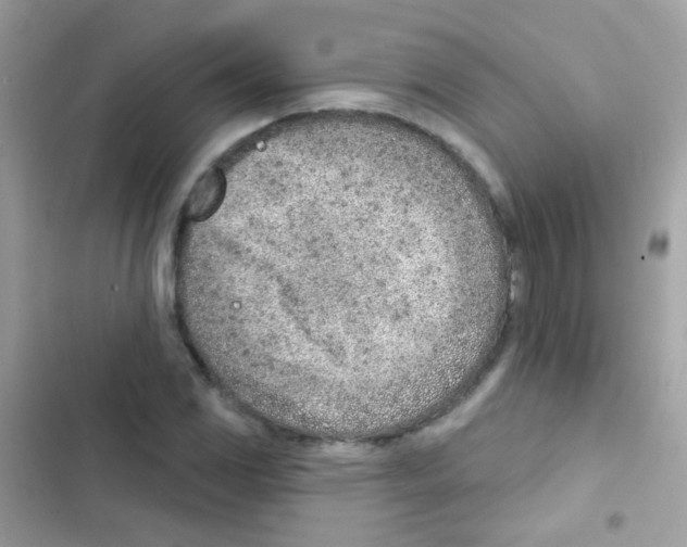 X0000103171117200809192110