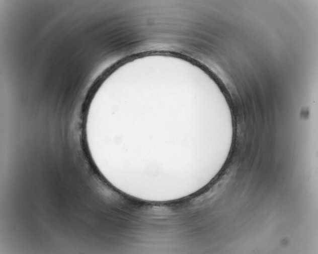 X0000103171119200809192110