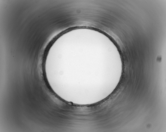 X0000103171120200809192110