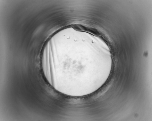 X0000103171121200809192110