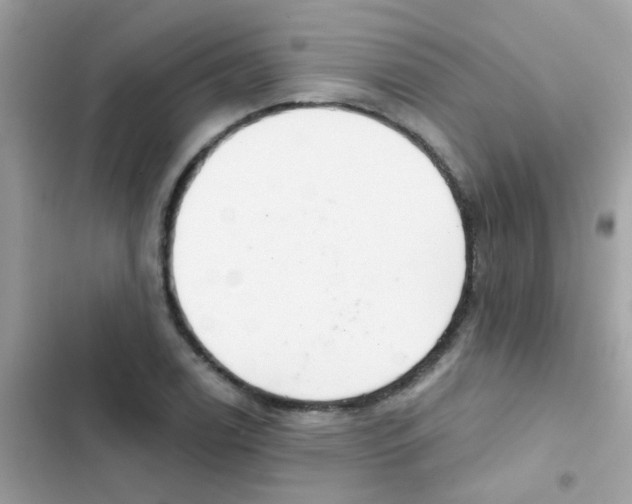 X0000103171122200809192110