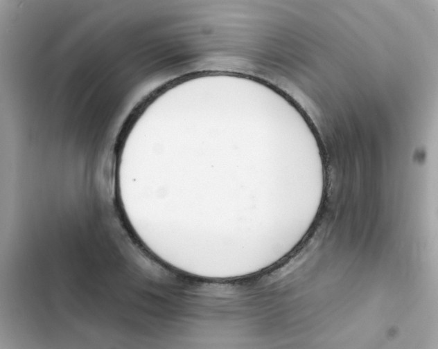 X0000103171123200809192110