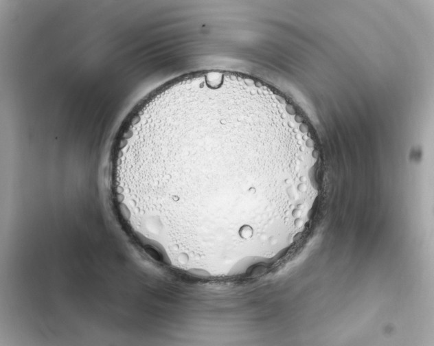 X0000103171125200809192110