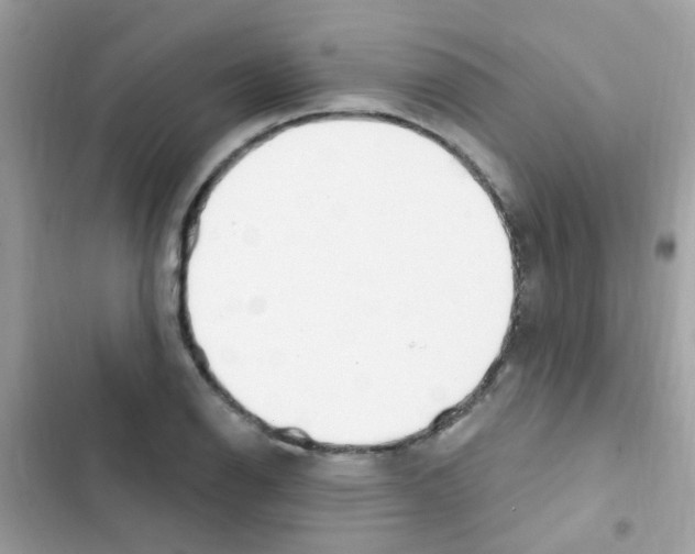 X0000103171126200809192110