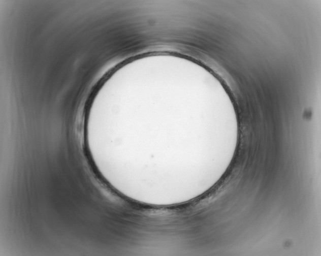 X0000103171127200809192110