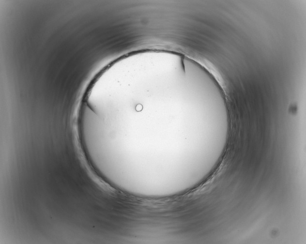 X0000103171128200809192111