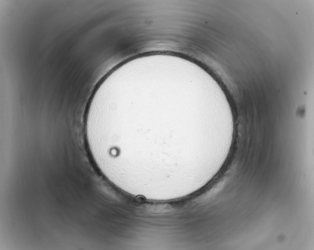 X0000103171129200809192111