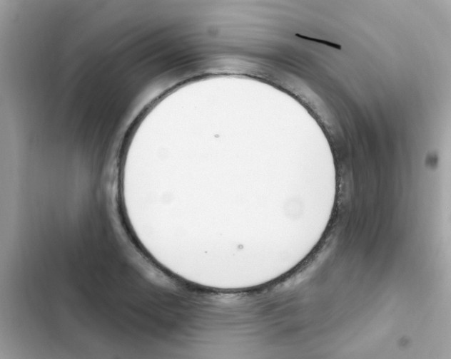 X0000103171130200809192111