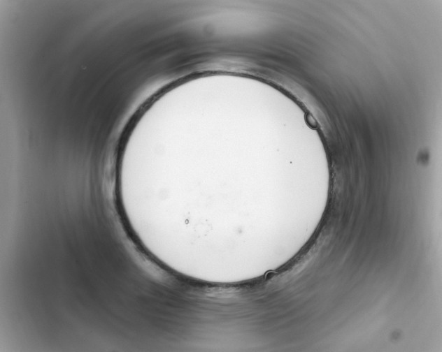 X0000103171131200809192111