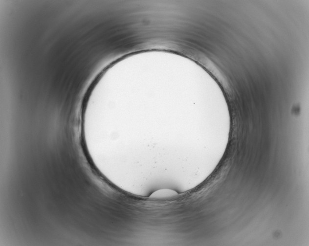 X0000103171132200809192111