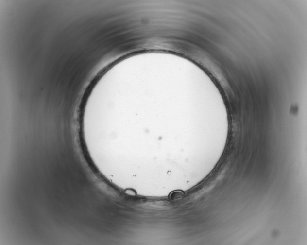 X0000103171133200809192111