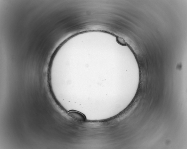 X0000103171134200809192111