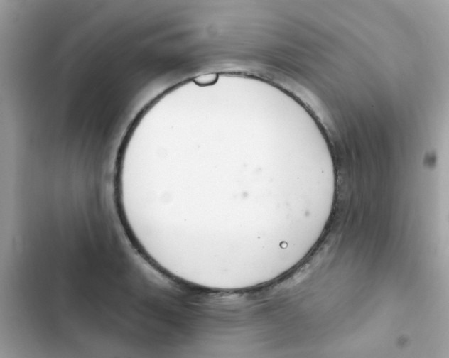 X0000103171135200809192111