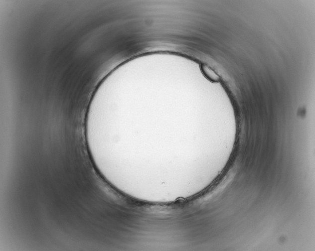 X0000103171137200809192111