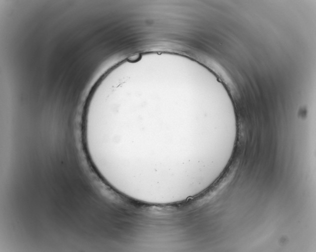 X0000103171138200809192111