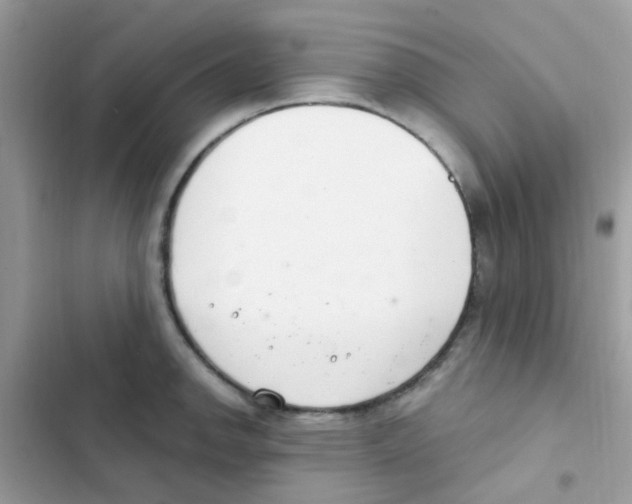 X0000103171142200809192111