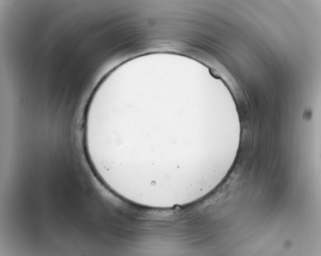 X0000103171143200809192111