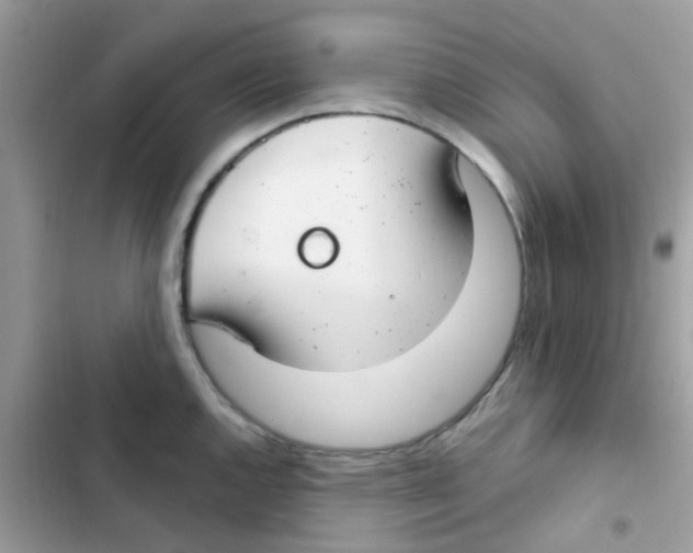 X0000103171144200809192111