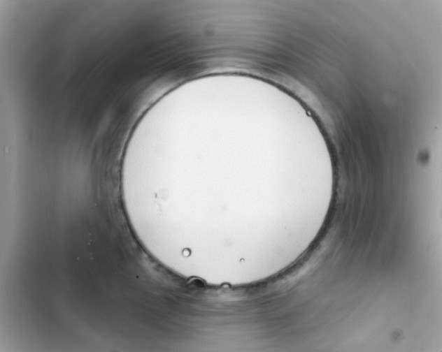 X0000103171145200809192111