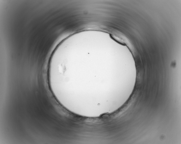 X0000103171146200809192111