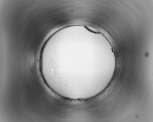 X0000103171147200809192111