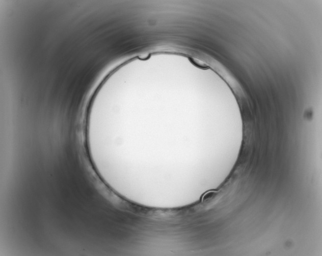 X0000103171148200809192111