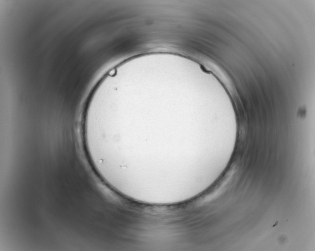 X0000103171149200809192111