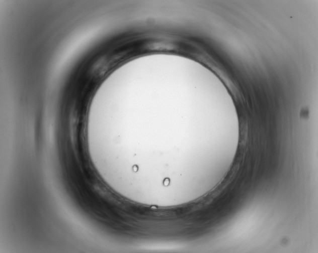 X0000103171151200809192111