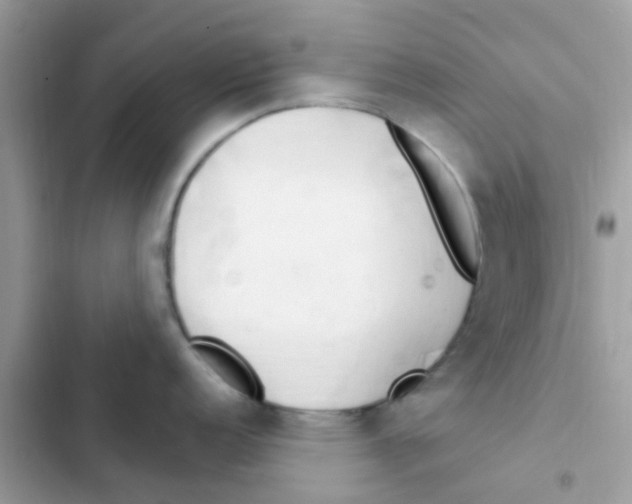 X0000103171152200809192111