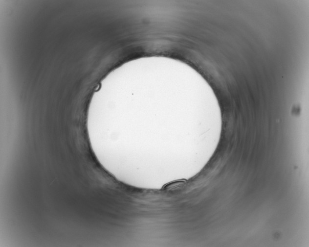 X0000103171153200809192110