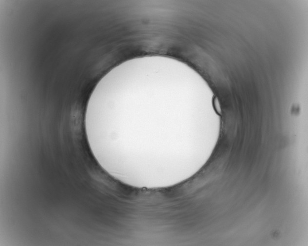 X0000103171154200809192110