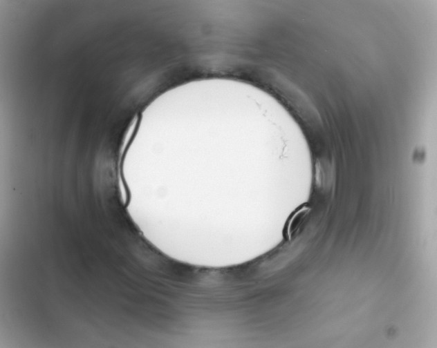 X0000103171155200809192110