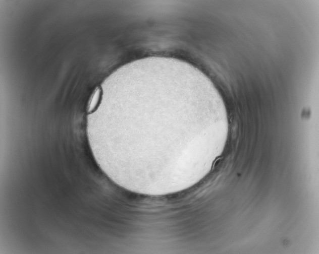 X0000103171156200809192110