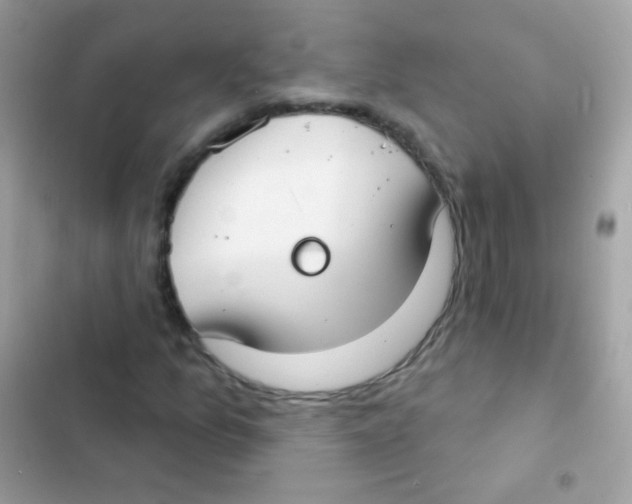 X0000103171157200809192110