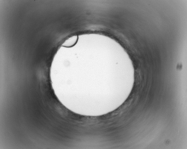 X0000103171158200809192110